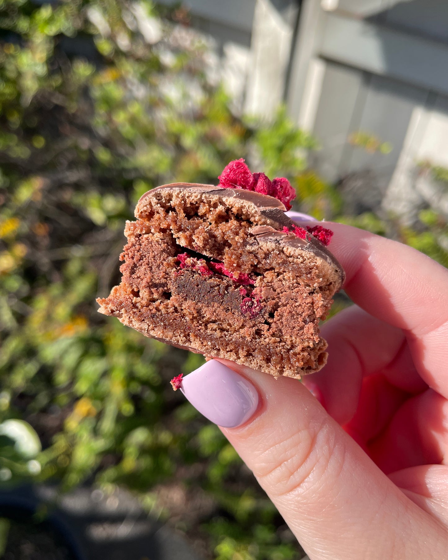 Chocolate Raspberry Brownie Macarons (GF) (CHCH Only)