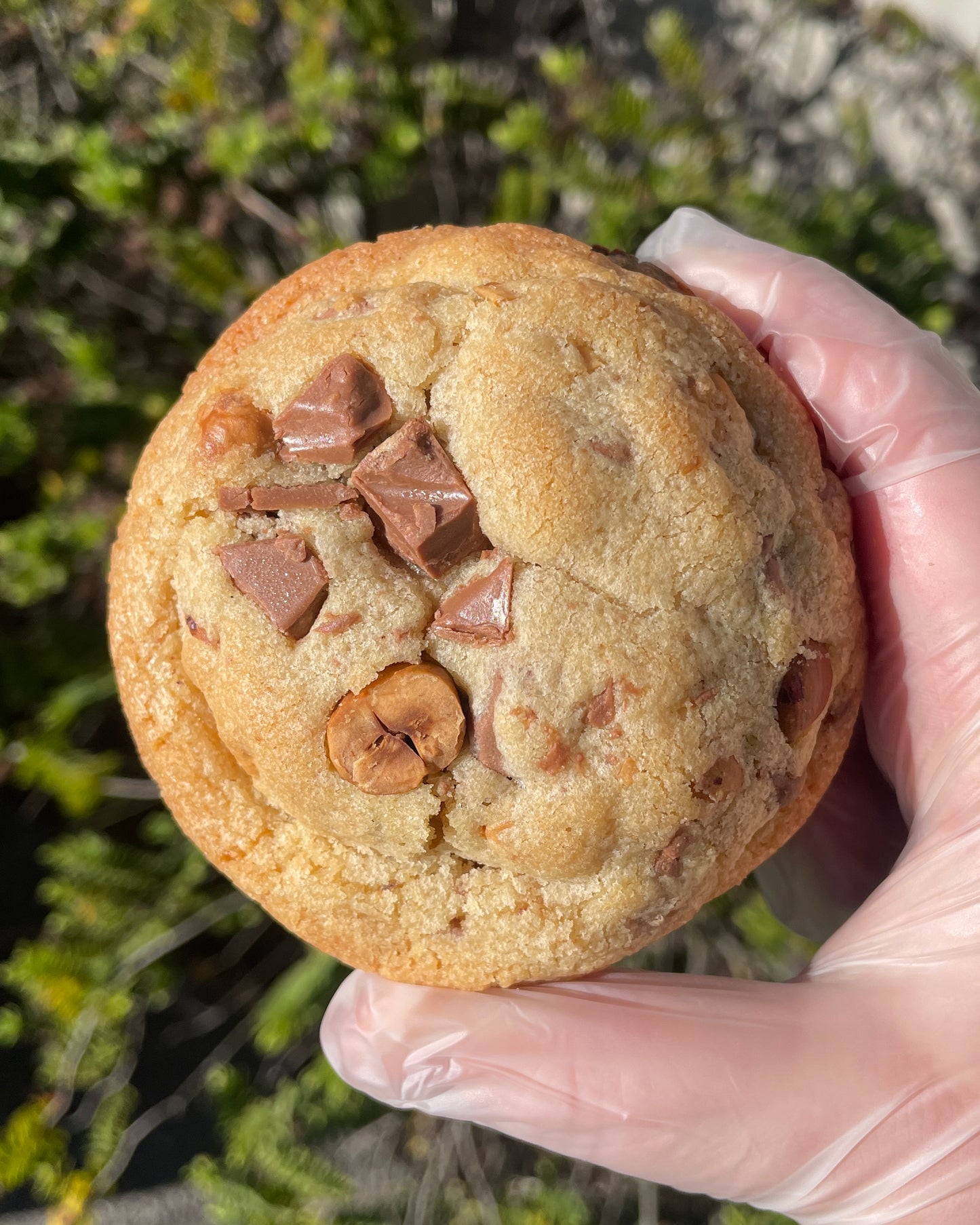 Nutella Stuffed Hazelnut Choc-Chip Cookies (4 Pack)