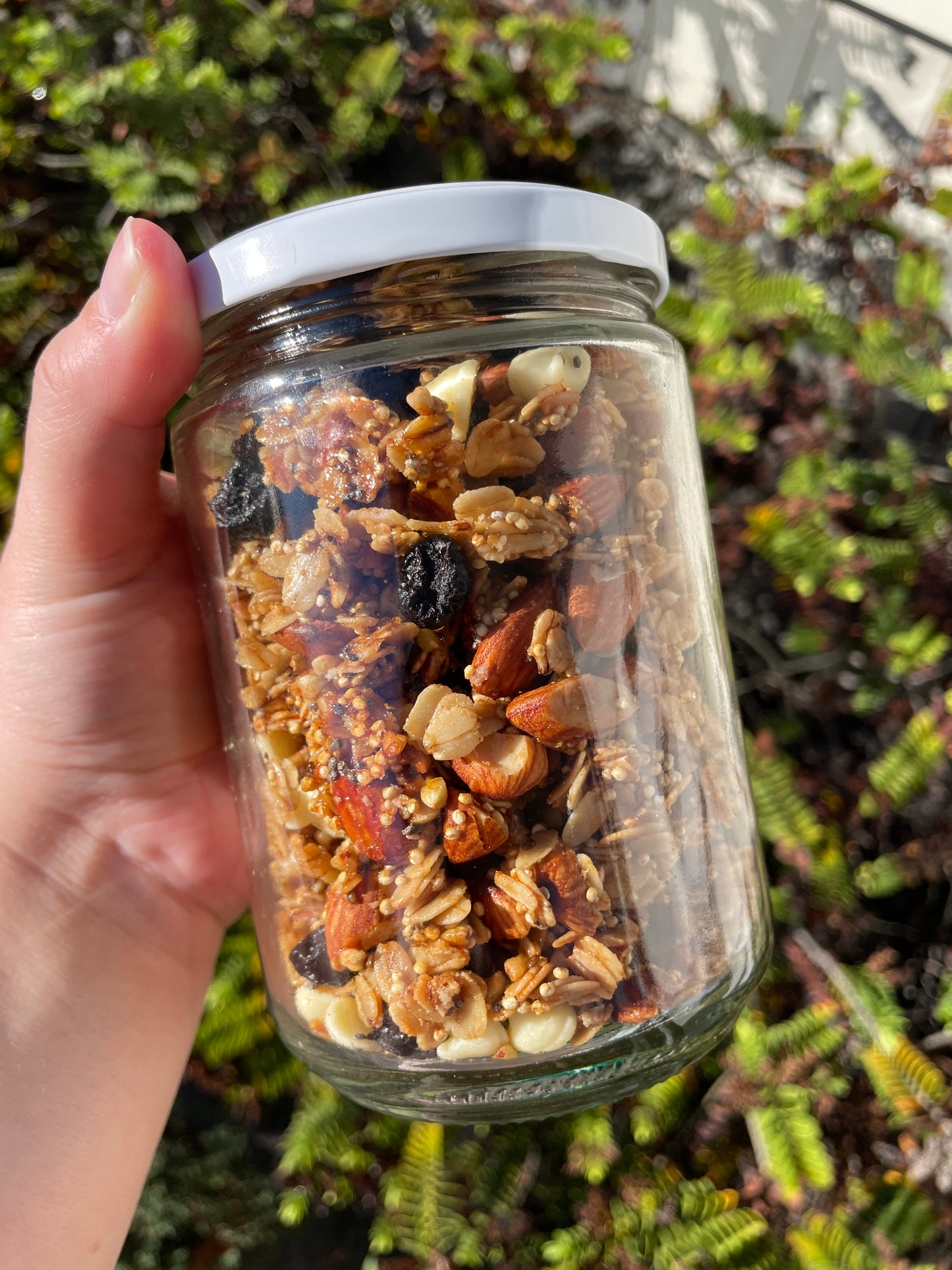 Blueberry White Choc Granola