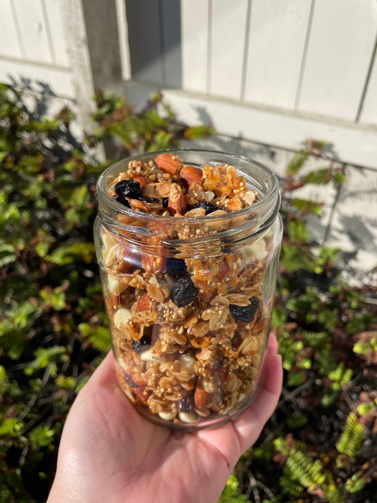 Blueberry White Choc Granola