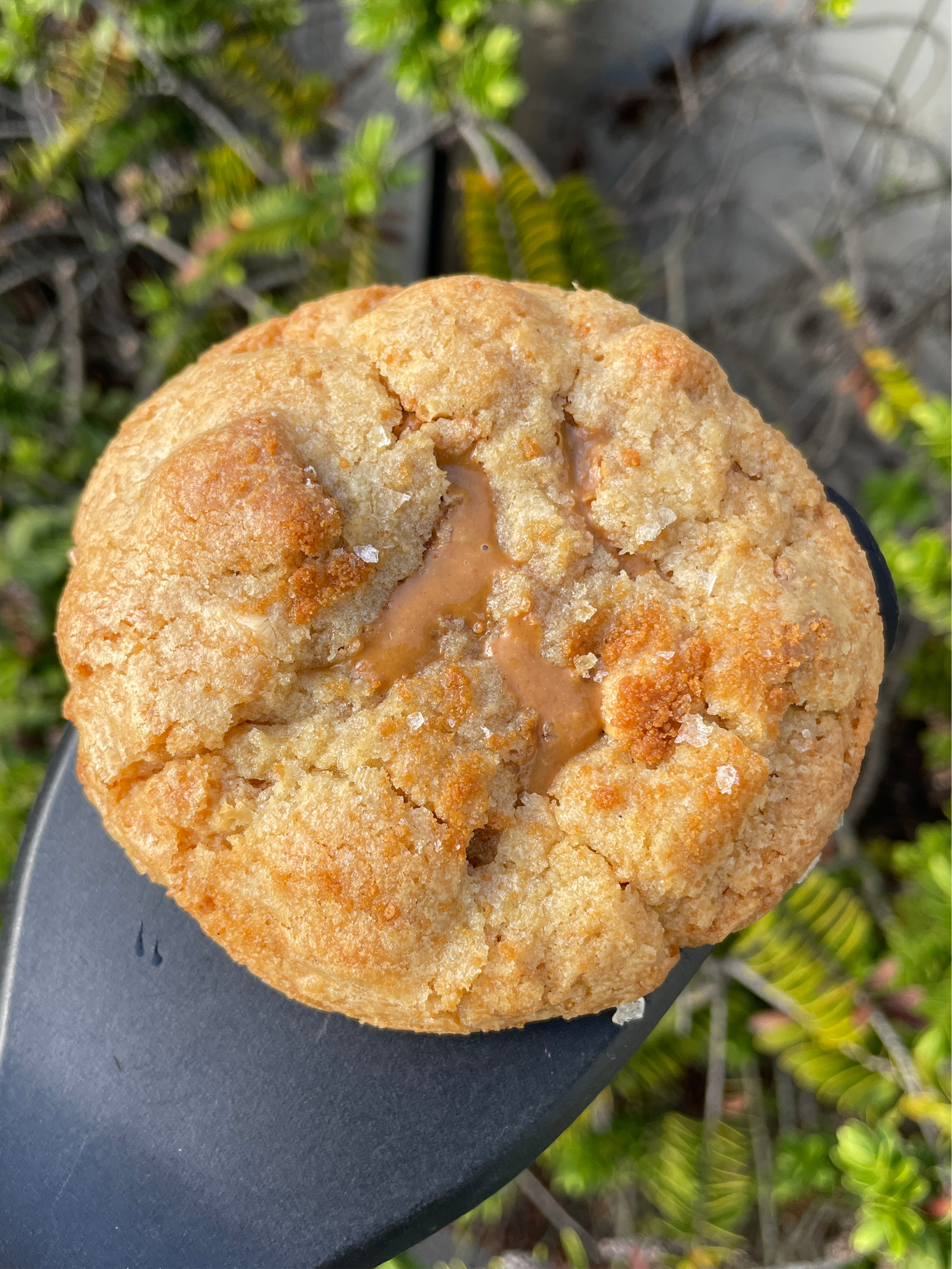 Biscoff White Choc & Caramilk Cookies (4 Pack)