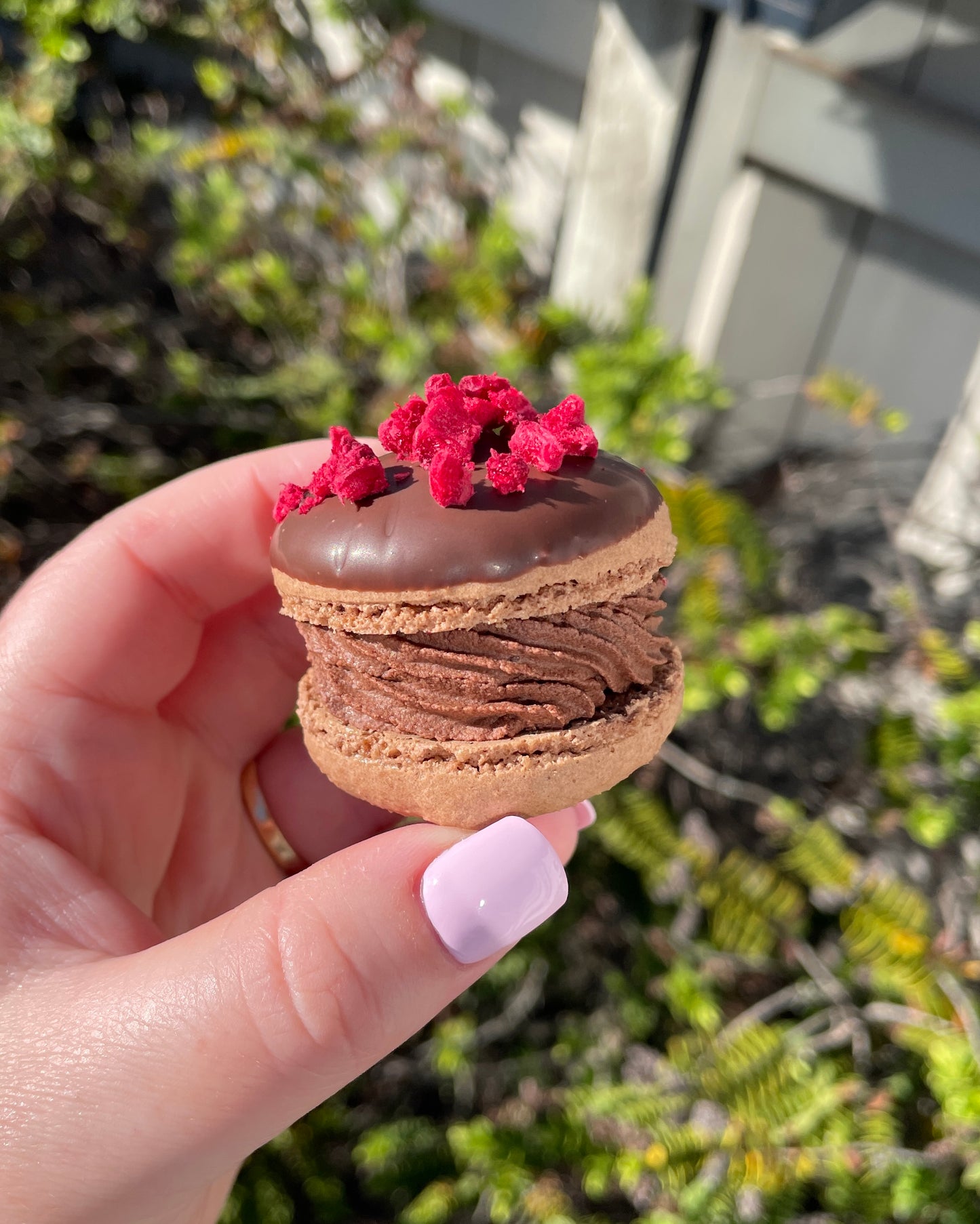 Chocolate Raspberry Brownie Macarons (GF) (CHCH Only)