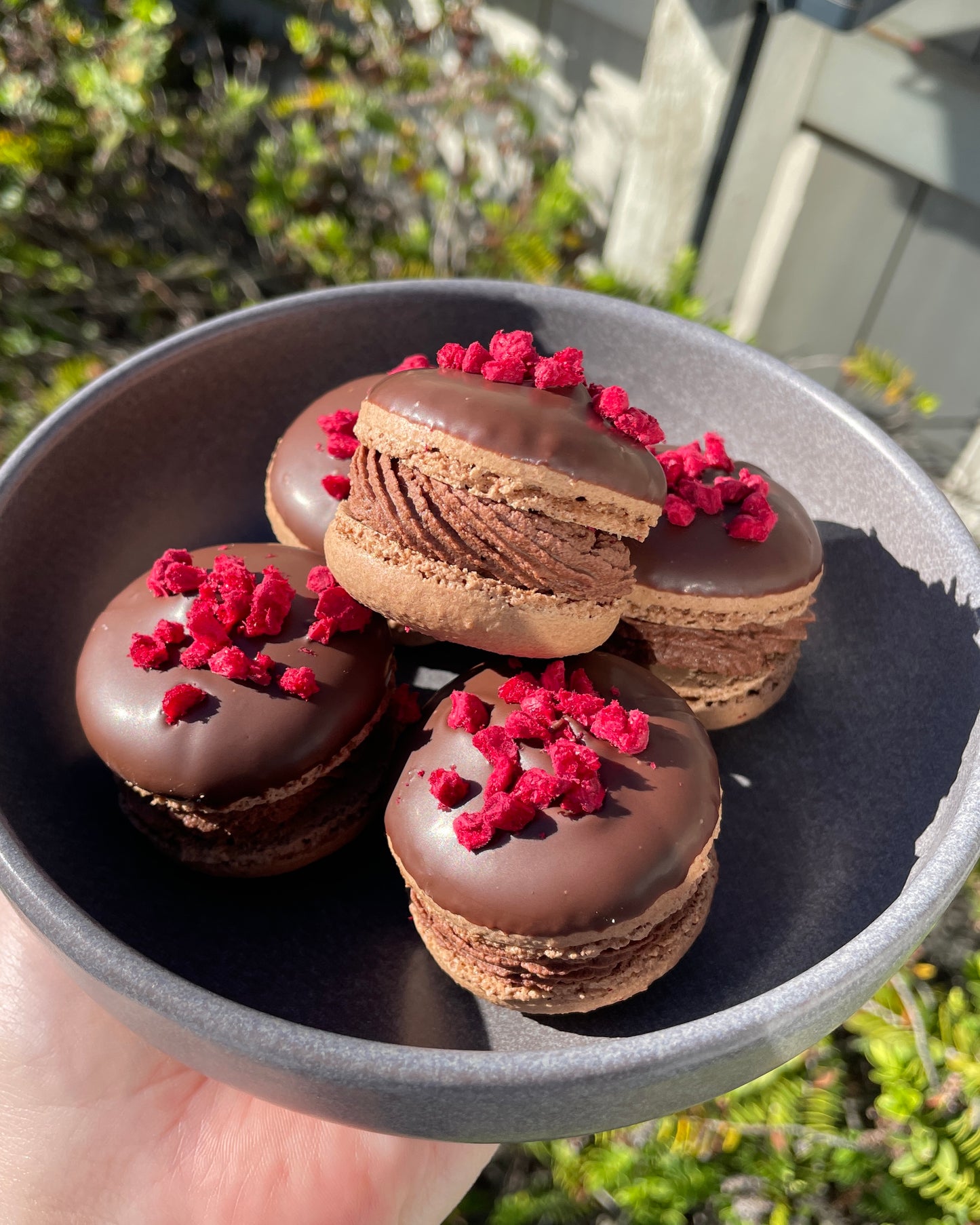 Chocolate Raspberry Brownie Macarons (GF) (CHCH Only)